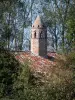 Savoyische Bresse - Sarazenischer Schornstein der Grange du Clou (Bresse Bauernhof) umgeben von Bäumen; in Saint-Cyr-sur-Menthon