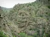 Scala di Santa Regina - Gorges granieten rots palen en vegetatie