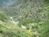 Scala di Santa Regina - Gorges : roche de granit et torrent (rivière) le Golo