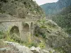 Scala di Santa Regina - Gorges: wilde bloemen, planten, brug (weg) en granieten rots massa