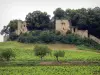 Schloß von Arlay - Ruinen (Überreste) der mittelalterlichen Festung