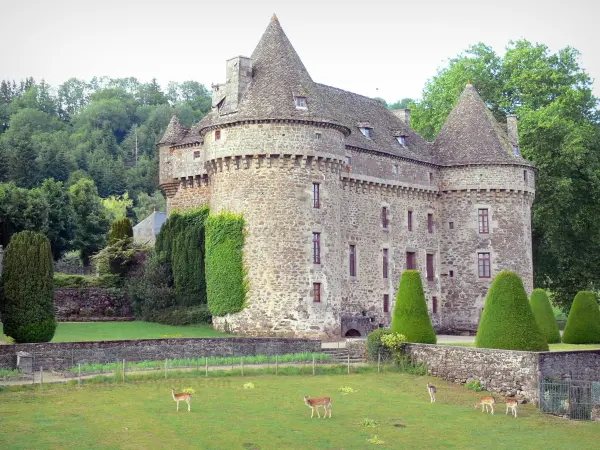 Das Schloss von Auzers - Führer für Tourismus, Urlaub & Wochenende im Cantal
