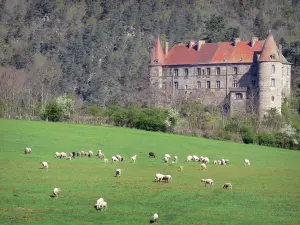 Schloß von Lavoûte-Polignac - Schluchten der Loire: Hauptgebäude in bewaldeter Umgebung, im Vordergrund Schafherde auf einer Wiese