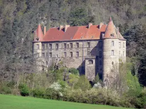 Schloß von Lavoûte-Polignac - Schluchten der Loire: Hauptgebäude umgeben von Bäumen