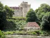 Schloss Romefort - Schloss, Fluss Creuse, Mühle und Bäume; auf der Gemeinde Ciron, im Creuse-Tal, im Regionalen Naturpark Brenne