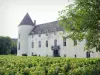 Schloß von Savigny-lès-Beaune - Schlossfassade mit Blick auf die Reben des Weinguts Côte de Beaune