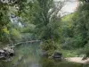 Schluchten des Aveyron - Fluss Aveyron gesäumt von Bäumen
