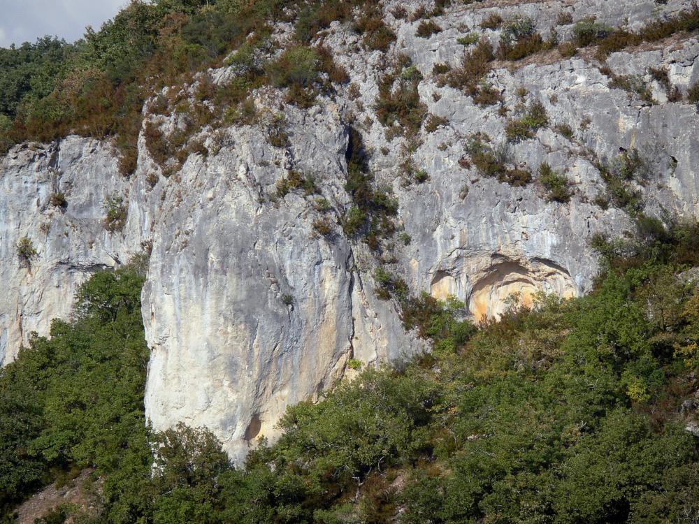 Schluchten des Aveyron - Kalkfelsen (Felswand) und Bodenbewuchs