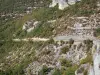 Schluchten des Aveyron - Felswände und Bodenbewuchs