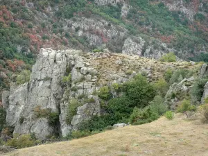 Schluchten des Chassezac - Felswände und Pflanzenwuchs der Granitschluchten; im Nationalpark der Cevennen