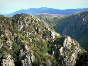 Schluchten des Chassezac - Blick auf die Granitschluchten; im Nationalpark der Cevennen