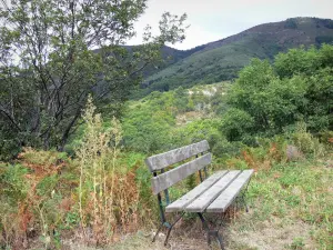 Schluchten der Dourbie - Sitzbank, Bäume und Berge; in den Cevennen