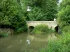 Schluchten von Saulges - Brücke überspannend den Fluss Erve und Bäume am Flussufer