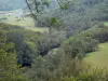 Schluchten der Sioule - Fluss Sioule gesäumt von Bäumen und Wiesen