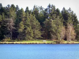 See von Devesset - Wasserfläche und Ufer mit Baumbestand, mit Picknicktisch