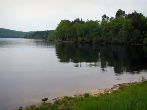 See von Vassivière - Ufer, Stausee und Bäume