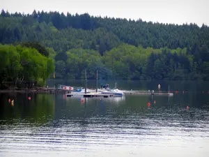 See von Vassivière - Stausee, Boote, Bäume und Wald