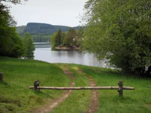 See von Vassivière - Stange aus Holz, Ufer, Bäume, Stausee und Wald im Hintergrund