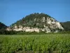 Séguret - Champ de vigne et maisons du village situées au pied d'une colline