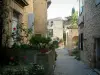 Séguret - Rue étroite pavée avec des maisons en pierre ornées de fleurs, de rosiers et de plantes