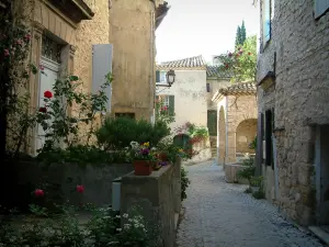 Séguret - Enge gepflasterte Strasse, mit Häusern aus Stein, geschmückt mit Blumen, mit Rosensträuchern und mit Pflanzen