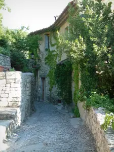 Séguret - Gepflasterte Gasse und Haus aus Stein, geschmückt mit Kletterpflanzen