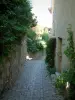 Séguret - Ruelle pavée du village avec des arbustes et des plantes