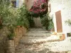 Seillans - Houses decorated with flowers and plants