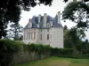 Selles-sur-Cher - Château et arbres