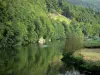 Semoy valley - Ardennes Regional Nature Park: trees along River Semoy