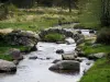 Senoueix bridge - Small bridge spanning the River Taurion, cliffs, grassland and shrubs