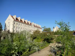 Sens - Orangerie garden and facade of the Montpezat college