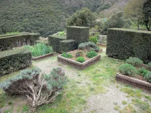 Serrabone priory - Botanical garden in a green surrounding