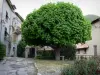 Serres - Small square featuring a chestnut tree and houses of the village