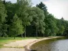 Settons湖 - 海滩两旁种满了树木和水体;在Morvan地区自然公园