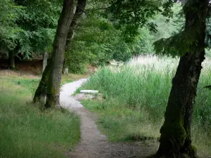 Meer van de Settons - Parcours rond het meer, in de Morvan Regionaal Natuurpark