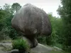 Sidobre - Peyro Clabado : rocher (bloc) de granit maintenu en équilibre sur un socle et arbres (forêt), dans le Parc Naturel Régional du Haut-Languedoc