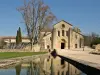 The Silvacane abbey - Tourism, holidays & weekends guide in the Bouches-du-Rhône