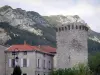 Sisteron - Torre (restos do recinto), casas, poste e cumes rochosos