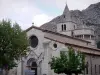 Sisteron - Notre-Dame-des-Pommiers Catedral, árvores e rostos rochosos