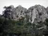 Sisteron - Cidadela, perched, ligado, seu, rocha