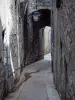 Sisteron - Gasse und Treppe gesäumt von Häusern