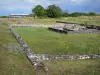 Site archéologique d'Argentomagus - Vestiges gallo-romains ; sur la commune de Saint-Marcel