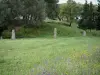 Site archéologique de Filitosa - Alignement de statues-menhirs dans une prairie parsemée de fleurs, arbres en arrière-plan