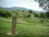 Site archéologique de Filitosa - Statue-menhir dans une prairie recouverte de fleurs avec vue sur l'ensemble du site de Filitosa, arbres et colline en arrière-plan