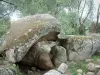 Site archéologique de Filitosa - Gros rochers et arbres