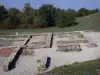 Site archéologique de Larina - Vestiges d'un domaine rural de l'Antiquité tardive et du haut Moyen-Âge ; sur la commune de Hières-sur-Amby