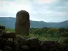 Sítio Arqueológico de Filitosa - Pedras, menir de estátua com rosto esculpido, árvores e colinas à distância