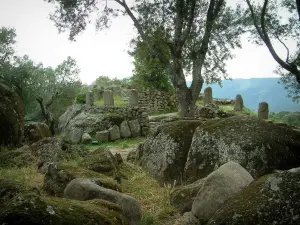 Sito archeologico di Filitosa - Rocks, l'allineamento di menhir con le facce scolpite e alberi