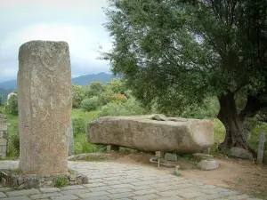 Sito archeologico di Filitosa - Pietre erette scolpite, alberi e colline sullo sfondo